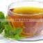 Nutritional High quality Mulberry Tea for sales and export