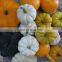 VIETNAM IQF VEGETABLES UNPEELED FROZEN PUMPKIN,  FROZEN DICED PUMPKIN