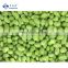 Sinocharm BRC A Approved Organic IQF Kernels  Frozen Soybean Edamame