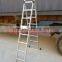 2 Section extension ladder 2X6