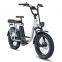 1000W big power Electric Folding Bike Electric Bicycles