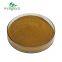 Wellgreen Factory Supply Natural Extract Bladderwrack Extract 10: 1