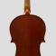Premium Spruce and Maple Violin Set with Carbon Fiber Tailpiece