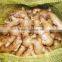 2016 Chinese fresh ginger wet dry half dry skin super quality