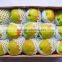 garment tubular foam fruits packing net