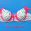 Women Plus Size Underwear Set, Plus Size Bra Set