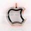 2015 new design fashion glass living floating memory lockets apple shape locket with crystal