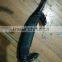 Dermis Snakeskin Traditional Bow Traditional Archery Bow For Archery Shooting Arrow