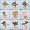 Fashion jewelry charm handmade butterfly natural shell pendant necklace P0007