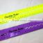 2015 Hot Factory OEM High Quality PVC Ruler latest stationery items