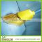 plastic soft sweep easy broom for indoor cleaning