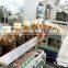 Automatic Cartoning Machine, Cartoning Machine for Bottle, Bottles Cartoning Machine