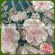 Handmade Beads Design Applique Embroidery Fabric Wholesale