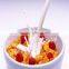 CE Certificate Automatic Corn Flakes/Breakfast Cereals Manufacturer Line