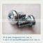Dongguan Stainless Steel Pan Head machine screw