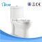 Foshan sanitary ware co ltd bidet one piece s-trap 300 mm water free toilet