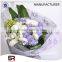 white color poland market sunflower net