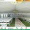 10m x 24m Customized Aluminum waterproof party wedding tent for sale