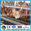 Anping yedi factory layer chicken battery cages