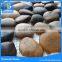 12"x12" mixed color stone pebbles for landscaping