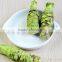 Wasabi Paste for Sushi 2015