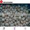 iqf button mushroom for hot sale