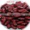 JSX Bulk factory supply red kidney bean origin food grade red beans kidney beans