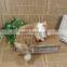 stuffed animal lovely plush cute taxidermy figurine kitty