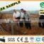 DAYU Irrigation - Drip Pipe for irrigation system in farm