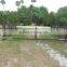 wrought iron/galvanized powder coated steel/Iron Security Gates