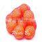 Extruded net bag