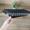 High Quality 105 Cell PS Plastic Plug Seedling Nursery Growing Tray for Gardening Seed Germination