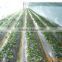 soft agricultural film/agricultural mulch film /greenhouse film