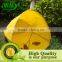 Reusable Herb Potato Strawberry Planting Planter Bags