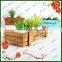 decoration wooden plant box ,display wooden plant holder