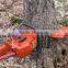 2015 new felling falling bucking chainsaw wedge