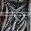 Frozen W/R Pacific Mackerel Good-quality Fresh fish Seafood