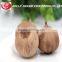 100% pure green snack food and aged peeled solo blackgarlic from china 180g/bottle --HC Company