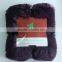 China Supply Fodable Polyester PV Fleece Blanket For Travel