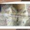 Real Animal Fur Raw Coyote Fur Skin With High Quality