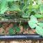 Irrigation large areas drip irrigation supplies with pipe fittings