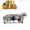 fruit and vegetable surf bubble cleaner Tomato Washer Equipment Shrimp Date Leafy Vegetable And Fruit Washing Machine