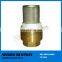 Economical Brass Non-Return Check Valve for Water Pump