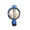 ductile iron worm driven wafer butterfly valve,flange type wafer butterfly valves