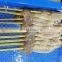 IQF frozen illex squid skewers good price for export