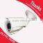 auto day & night cutting Color 1/3" CMOS 960H 800TV Lines long distance surveillance camera