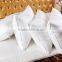 Home Textile down pillows,gold pillow,chair pillow