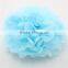 Party Decorative Bulk Hanging Tissue Paper Pom Poms