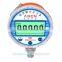 Most popular industrial digital pressure gauge