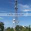 Communication Pine Tree Tower with Beautiful Look (ray153)